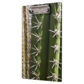 Barrel Cactus II Desert Nature Foto Klemmbrett (Links)