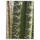 Barrel Cactus II Desert Nature Foto Klemmbrett (Rückseite)