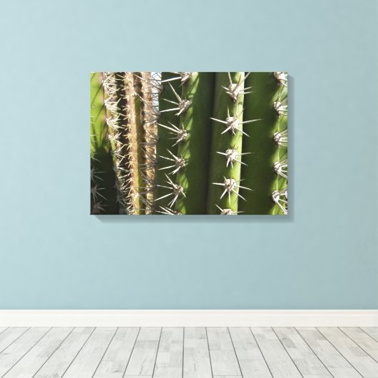 Barrel Cactus II Desert Nature Foto Leinwanddruck (Insitu (Holzboden))