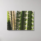 Barrel Cactus II Desert Nature Foto Leinwanddruck (Vorderseite)