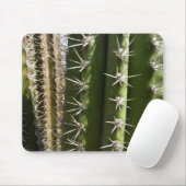 Barrel Cactus II Desert Nature Foto Mousepad (Mit Mouse)