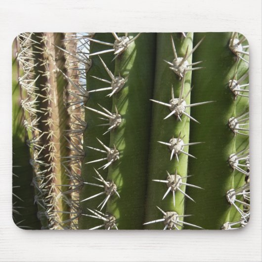 Barrel Cactus II Desert Nature Foto Mousepad (Vorne)