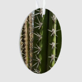 Barrel Cactus II Desert Nature Foto Ornament (Vorderseite)
