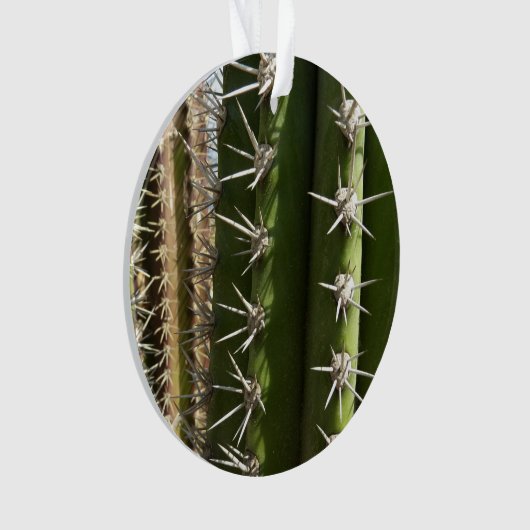 Barrel Cactus II Desert Nature Foto Ornament (Vorderseite)