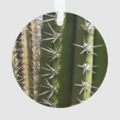 Barrel Cactus II Desert Nature Foto Ornament (Rückseite)