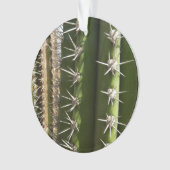 Barrel Cactus II Desert Nature Foto Ornament (Vorderseite)
