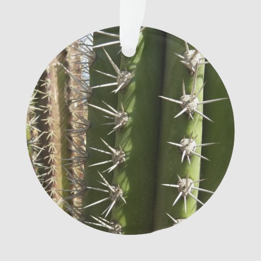 Barrel Cactus II Desert Nature Foto Ornament (Vorderseite)