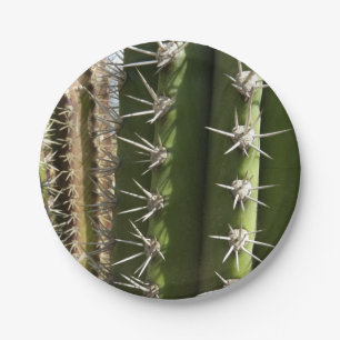 Barrel Cactus II Desert Nature Foto Pappteller