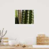 Barrel Cactus II Desert Nature Foto Poster (Küche)