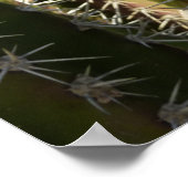 Barrel Cactus II Desert Nature Foto Poster (Ecke)