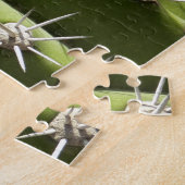 Barrel Cactus II Desert Nature Foto Puzzle (Seite)