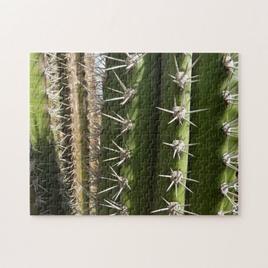 Barrel Cactus II Desert Nature Foto Puzzle (Horizontal)