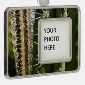 Barrel Cactus II Desert Nature Foto Rahmen-Ornament Silber (Rechts)