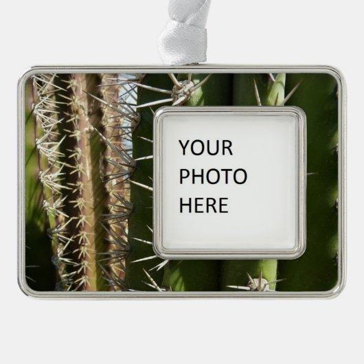 Barrel Cactus II Desert Nature Foto Rahmen-Ornament Silber (Vorderseite)