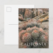 Barrel Cactus in California Postkarte (Vorne/Hinten)