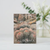 Barrel Cactus in California Postkarte (Stehend Vorderseite)
