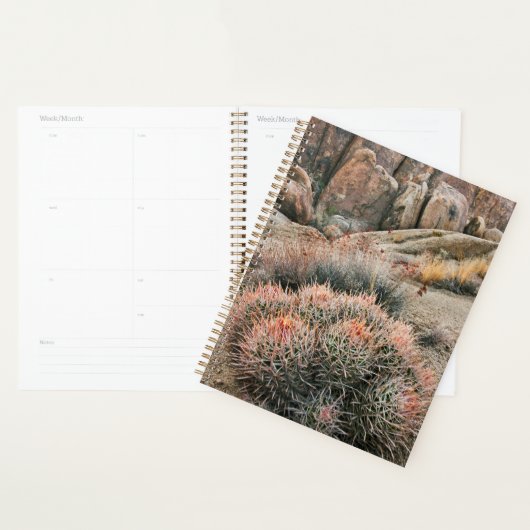 Barrel Cactus in Kalifornien Planer (Anzeige)