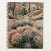 Barrel Cactus in Kalifornien Planer (Vorderseite)