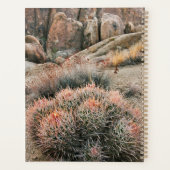Barrel Cactus in Kalifornien Planer (Rückseite)