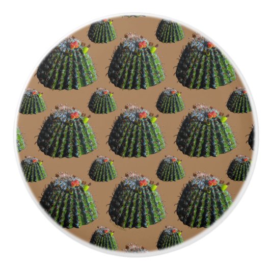 Barrel Cactus Knobs Keramikknauf (Vorderseite)