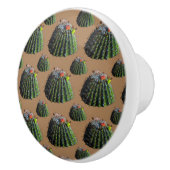 Barrel Cactus Knobs Keramikknauf (Rechts)