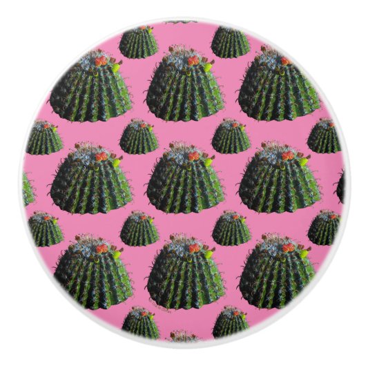 Barrel Cactus Knobs Keramikknauf (Vorderseite)