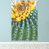 Barrel Cactus Leinwanddruck (Insitu (Holzboden))