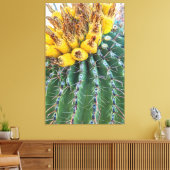 Barrel Cactus Leinwanddruck (Insitu (Wohnzimmer))