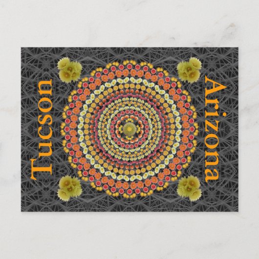 Barrel Cactus Mandala 2 als Postkarte (Vorderseite)