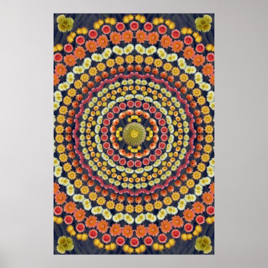 BARREL CACTUS MANDALA 3 POSTER (Vorne)