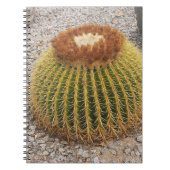 Barrel Cactus Notizblock (Vorderseite)