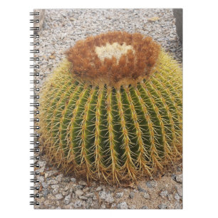 Barrel Cactus Notizblock