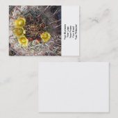 Barrel Cactus Pflanze Fishaken Yellow Visitenkarte (Vorne/Hinten)