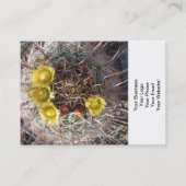 Barrel Cactus Pflanze Fishaken Yellow Visitenkarte (Vorderseite)