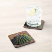 Barrel Cactus Plastic Untersetzer (Rechte Seite)