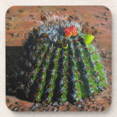 Barrel Cactus Plastic Untersetzer (Vorderseite)