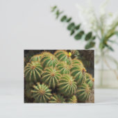 Barrel Cactus Postkarte (Stehend Vorderseite)
