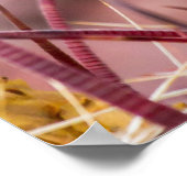 Barrel Cactus Roosting Poster (Ecke)