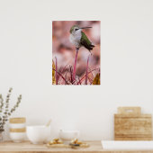 Barrel Cactus Roosting Poster (Küche)