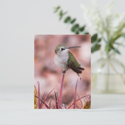 Barrel Cactus Roosting Postkarte (Stehend Vorderseite)