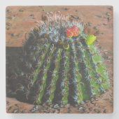 Barrel Cactus Stone Untersetzer (Vorderseite)