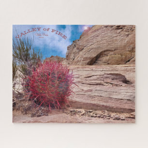 Barrel Cactus, Valley Staat Park, Nevada Puzzle