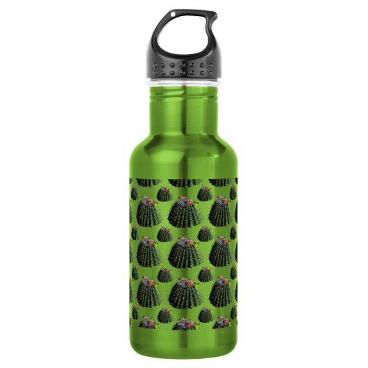 Barrel Cactus Water Flasche Edelstahlflasche (Vorderseite)