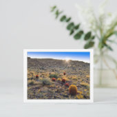 "Barrel Cactus Weck Up Call" Postkarte (Stehend Vorderseite)