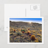 "Barrel Cactus Weck Up Call" Postkarte (Vorne/Hinten)