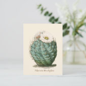 Barrel Cactus White Blume Postkarte (Stehend Vorderseite)