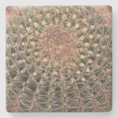 Barrel Kaktus in der Wüste, Arizona, q Untersetzer (Vorderseite)