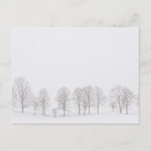 Barren Bäume in der schneeweißen Welt Postkarte (Vorderseite)