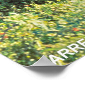 Barren Ground Caribbean Poster (Ecke)