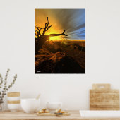 Barren Land Poster (Küche)